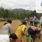 किसानों को मिले मेहनत का सही मूल्यांकन