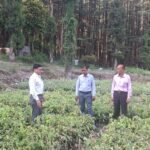एडीएम शैलेन्द्र सिंह नेगी ने देवलसारी पौधशाला का किया निरीक्षण
