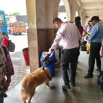 चारधाम यात्रा/गंगा दशहरा स्नान पर्व के दौरान सुरक्षा व्यवस्थाओं को दुरुस्त रखने के लिए बीडीएस व डॉग स्क्वायड की लगातार कसरत जारी