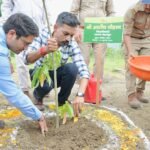 हरेला पर्व पर हरियाली का संकल्प: जिलाधिकारी डॉ0 आशीष चौहान ने किया वृक्षारोपण, कहा— पौधारोपण को बनाएं जन-आंदोलन